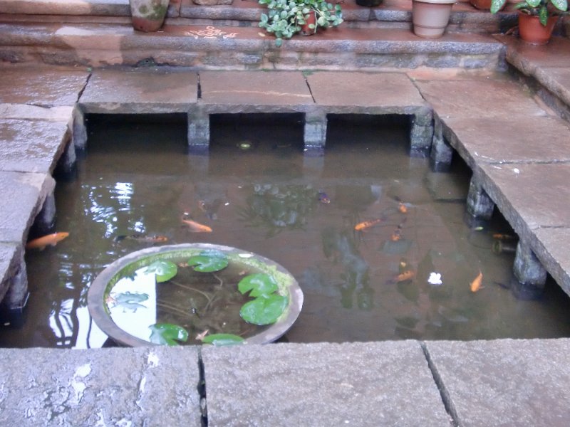 India Trip - July 2010 022.jpg